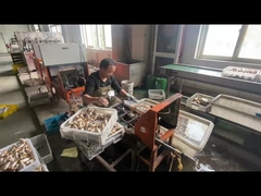 ओडीएम पीतल गैस पाइप बंद वाल्व नीले हैंडल रंग के साथ अनुकूलित